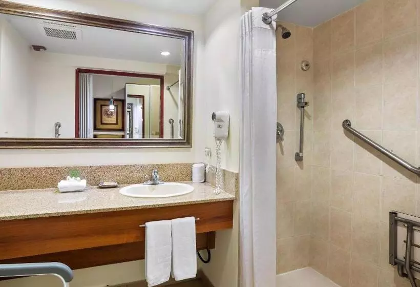 Fotos del hotel Holiday Inn Panama Canal:  12