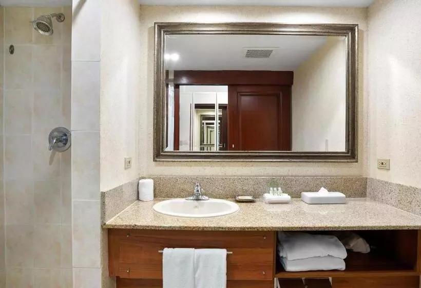 Fotos del hotel Holiday Inn Panama Canal:  18