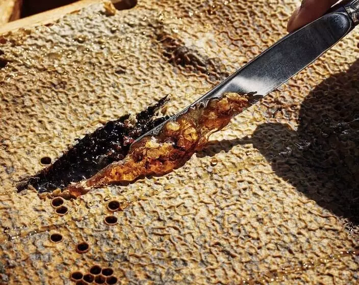 Fotos del hotel Lysebu:  16