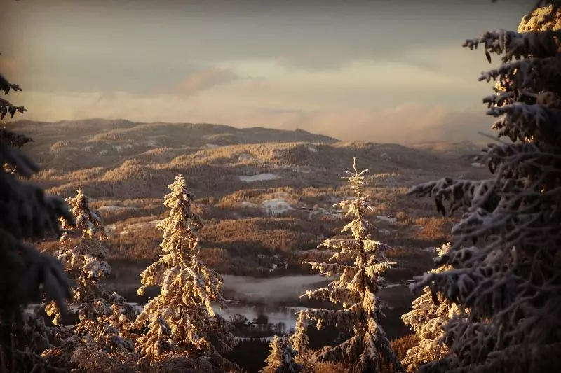 Fotos del hotel Lysebu:  12