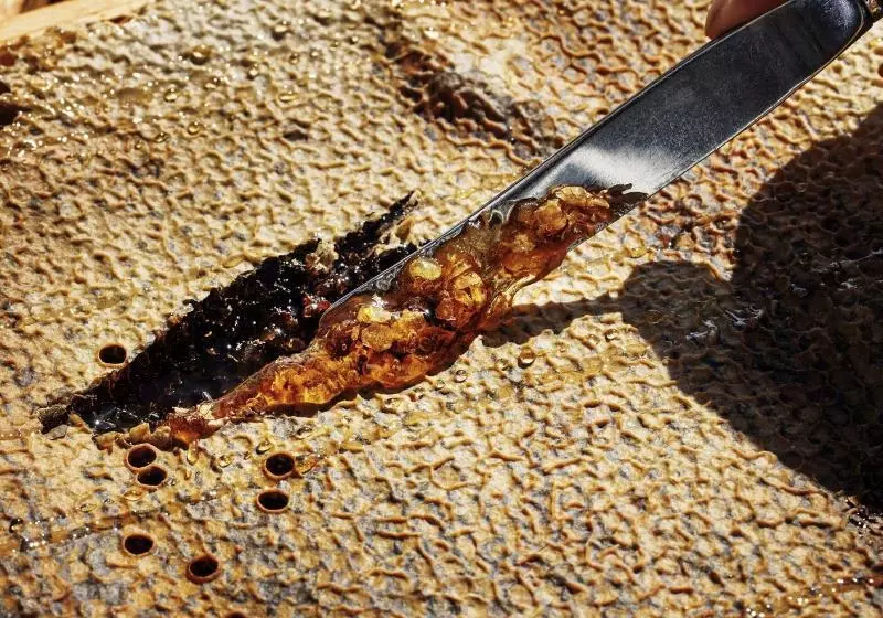 Fotos del hotel Lysebu:  21