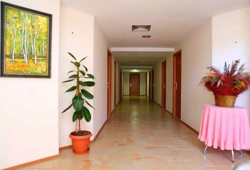 Fotos del hotel Oaz:  3