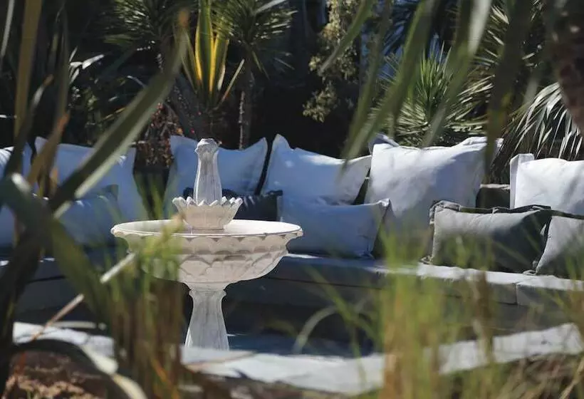 Fotos del hotel Riu Tikida Beach - Adults Only - All Inclusive:  23