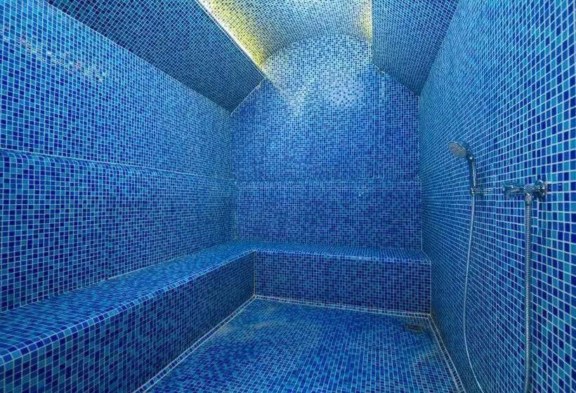 Fotos del hotel Crowne Plaza Istanbul  Old City, An Ihg:  24