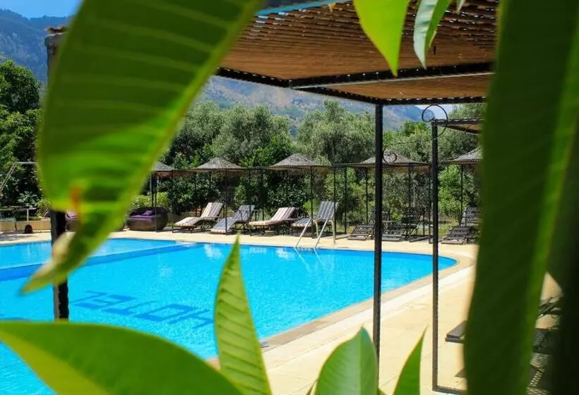 Fotos del hotel Lapida Garden:  16