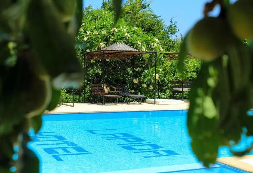 Fotos del hotel Lapida Garden:  8