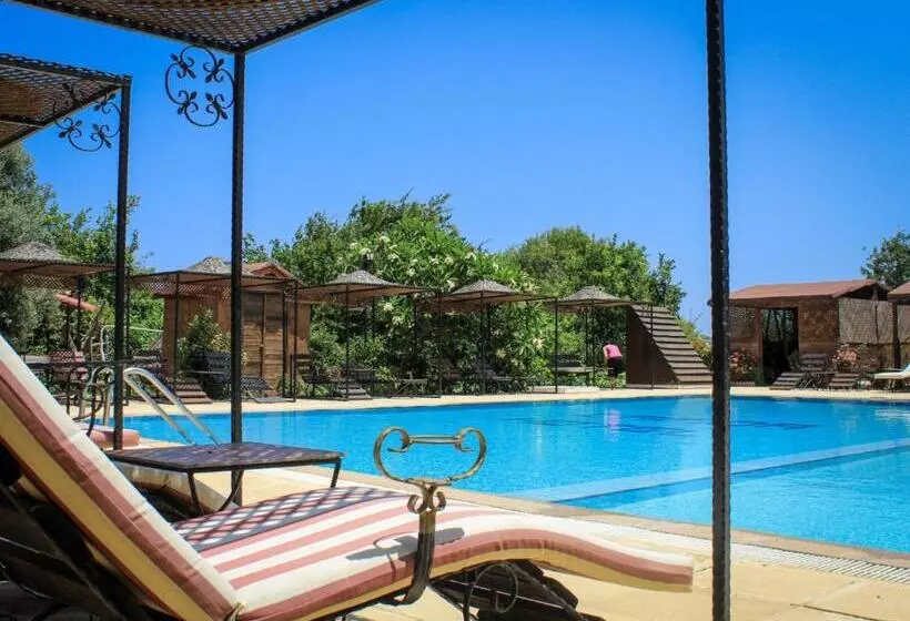 Fotos del hotel Lapida Garden:  18