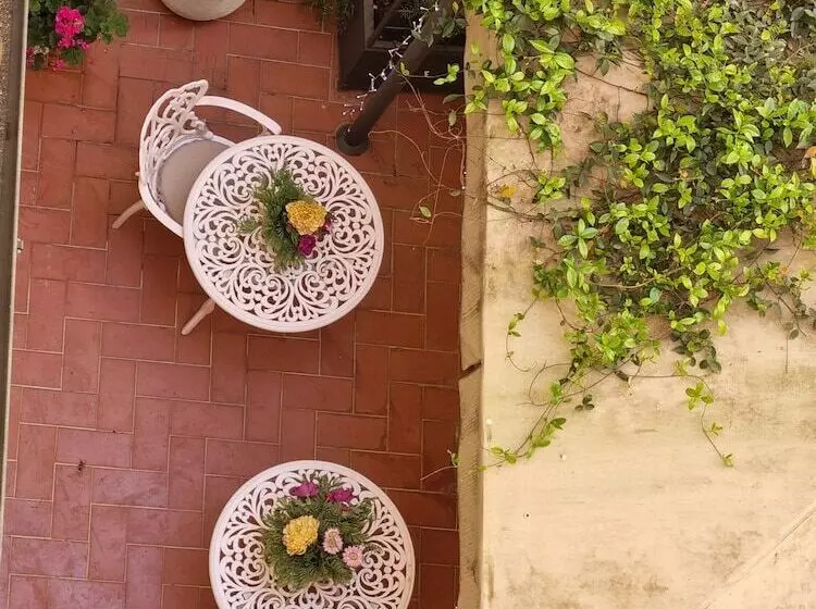 Fotos del hotel Maxim Axial:  18