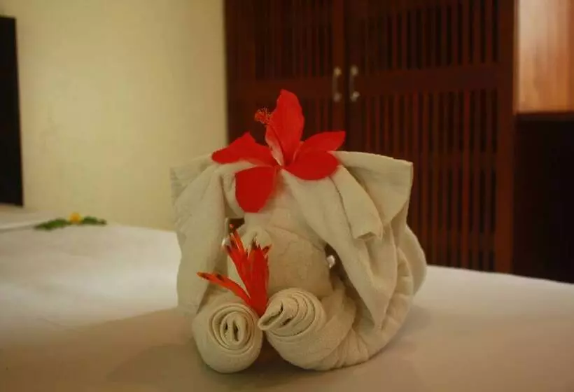 Fotos del hotel Samui Honey Cottages Beach Resort:  5