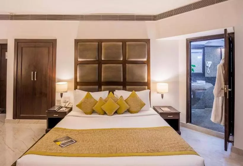 Fotos del hotel Shanti Palace Mahipalpur:  10