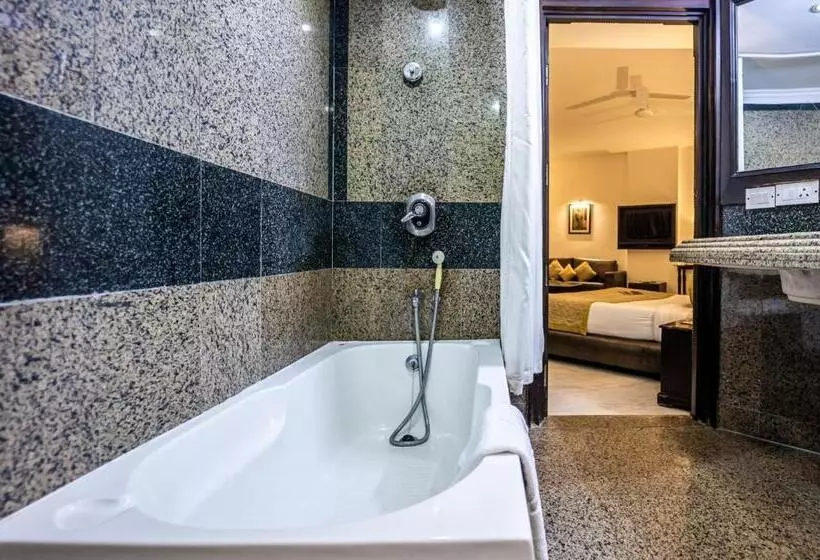 Fotos del hotel Shanti Palace Mahipalpur:  14