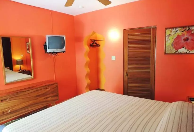 Fotos del hotel Sunrise Club:  1