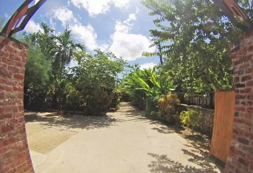 Fotos del hotel Sunrise Club:  8