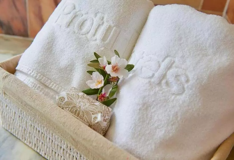 Fotos del hotel Protur Residencia Son Floriana:  23