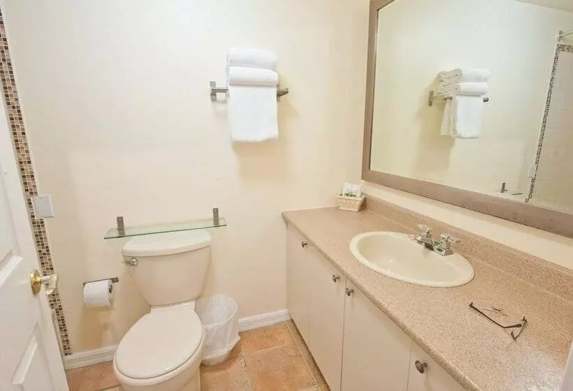 Fotos del hotel Byward Blue Inn:  13