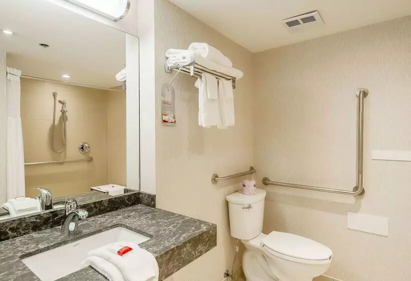 Fotos del hotel Ramada By Wyndham Niagara Falls By The River:  20