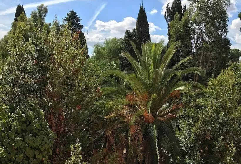 Fotos del hotel Area Roma:  19