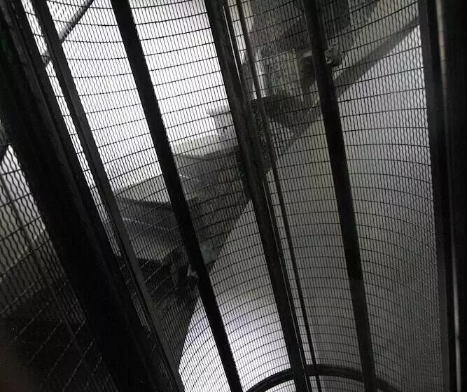 Fotos del hotel Hidden:  7