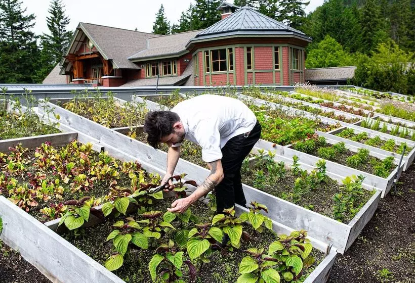 Fotos del hotel Nita Lake Lodge:  9