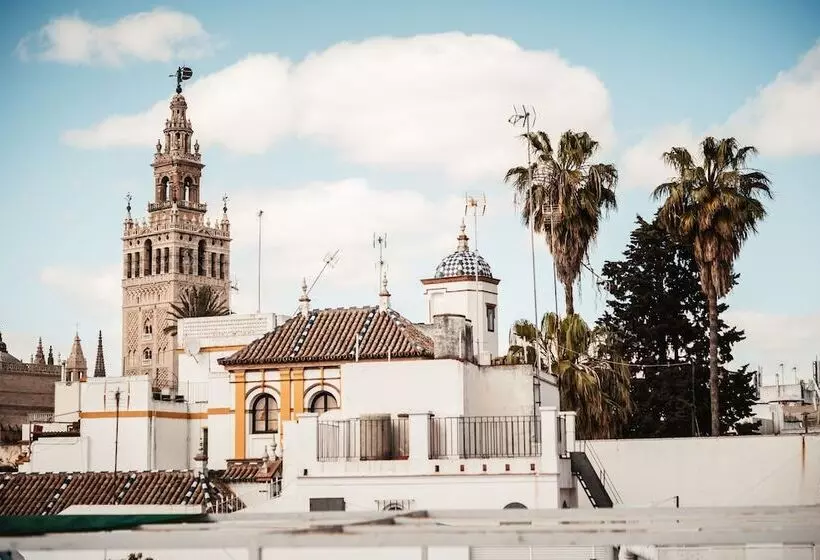 Fotos del hotel Boutique Casas De Santa Cruz:  25