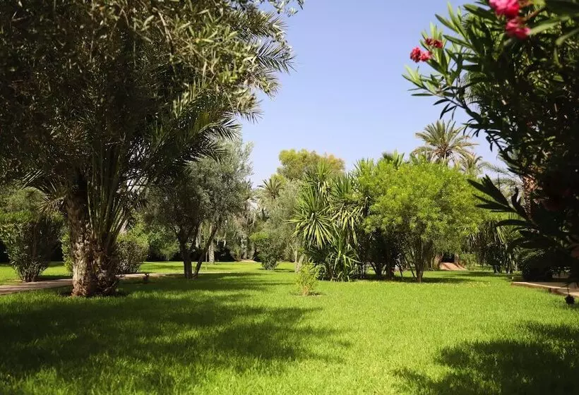 Fotos del hotel Villa Al Assala Palmeraie:  6