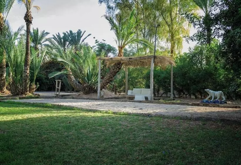 Fotos del hotel Villa Al Assala Palmeraie:  5