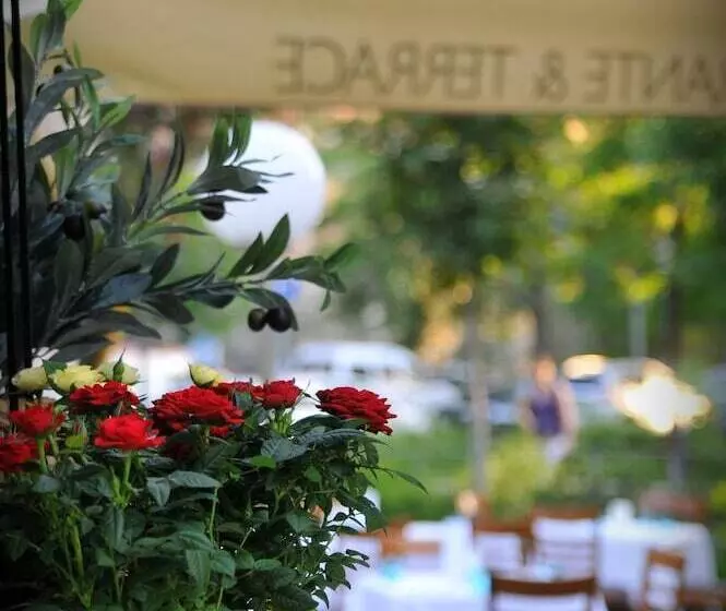 Fotos del hotel Castle Garden:  24