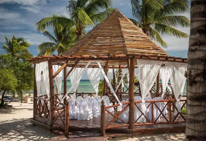 Fotos del hotel Grand Sunset Princess - All Inclusive:  29