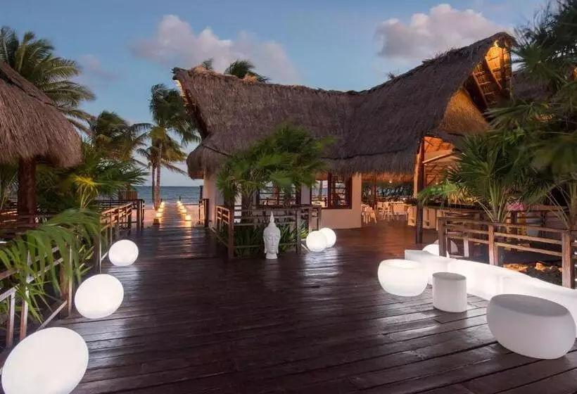 Fotos del hotel Grand Sunset Princess - All Inclusive:  23