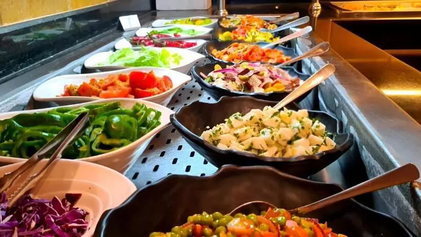 Fotos del hotel Le Meridien Dahab Resort:  17