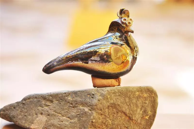 Fotos del hotel Le Meridien Dahab Resort:  14