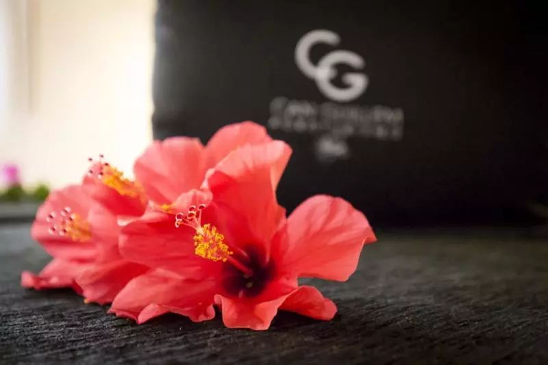 Fotos del hotel Agroturismo Can Guillem:  10