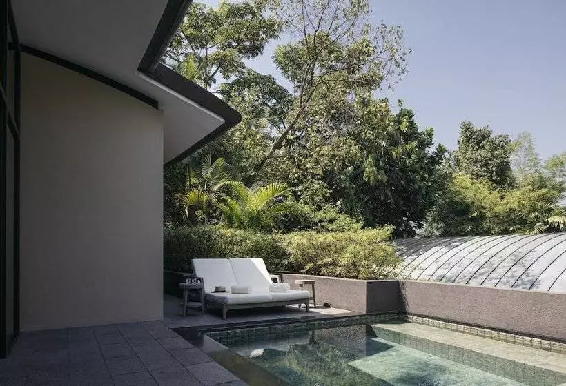 Fotos del hotel Capella Singapore:  3