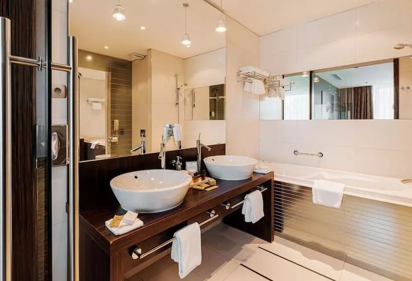 Fotos del hotel Holiday Inn Zilina, An Ihg:  19