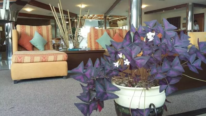 Fotos del hotel Konke  & Sabores:  4