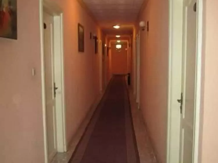 Fotos del hotel Medina:  9