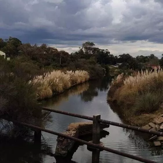 Fotos del hotel Playa Grande:  18