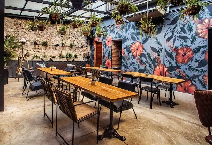 Fotos del hotel Selina Cartagena:  7