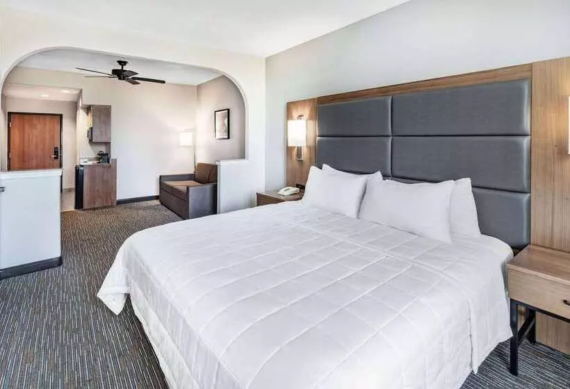 Fotos del hotel Wingate By Wyndham Houston Bush Intercontinental Airport Iah:  19