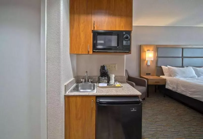 Fotos del hotel Wingate By Wyndham Houston Bush Intercontinental Airport Iah:  2