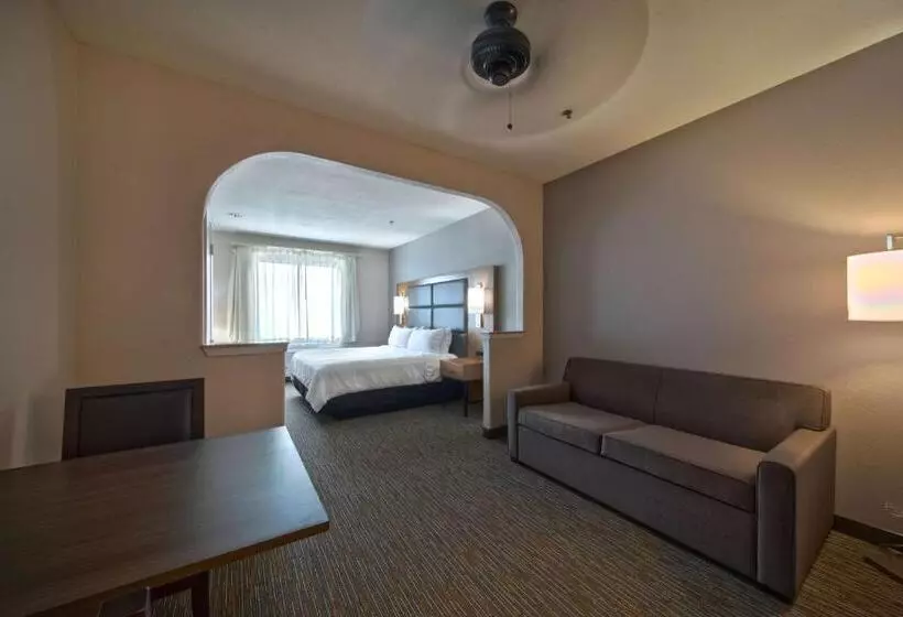 Fotos del hotel Wingate By Wyndham Houston Bush Intercontinental Airport Iah:  8