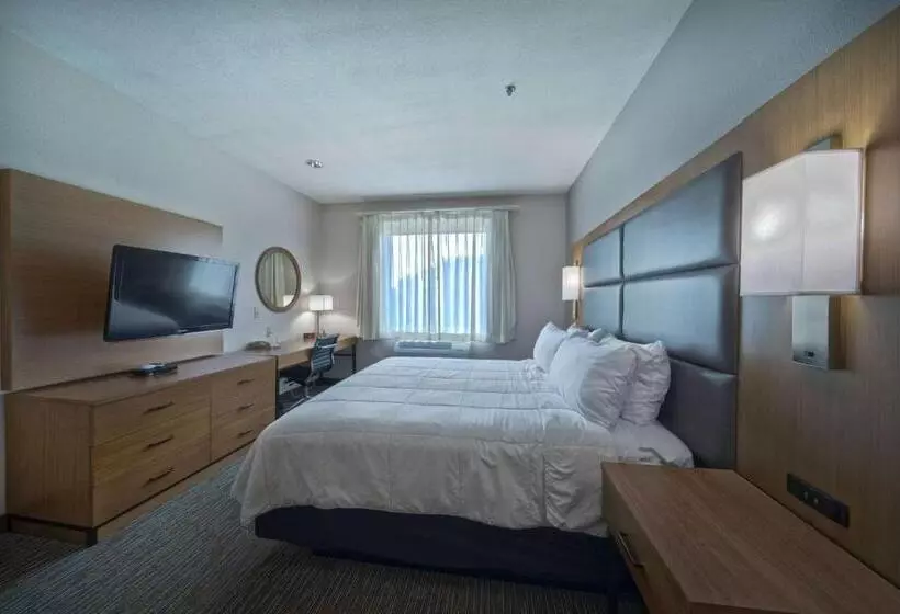 Fotos del hotel Wingate By Wyndham Houston Bush Intercontinental Airport Iah:  15