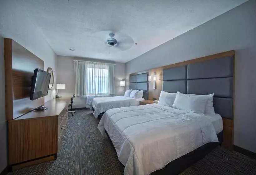 Fotos del hotel Wingate By Wyndham Houston Bush Intercontinental Airport Iah:  17