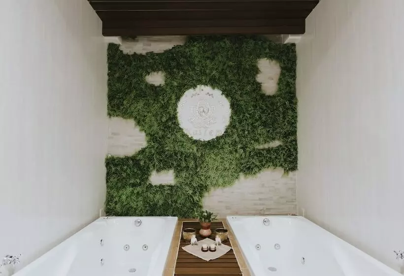 Fotos del hotel Dos Patios, Holístico Boutique & Spa:  3