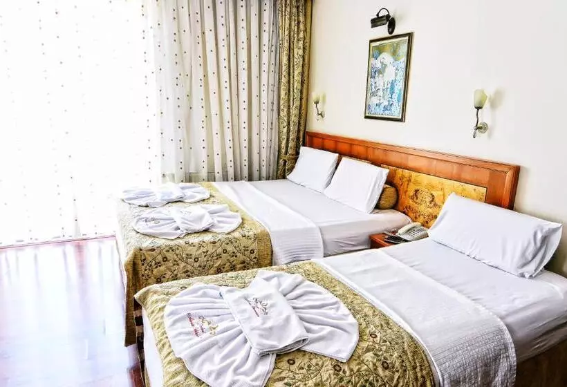 Fotos del hotel Santa Ottoman:  15