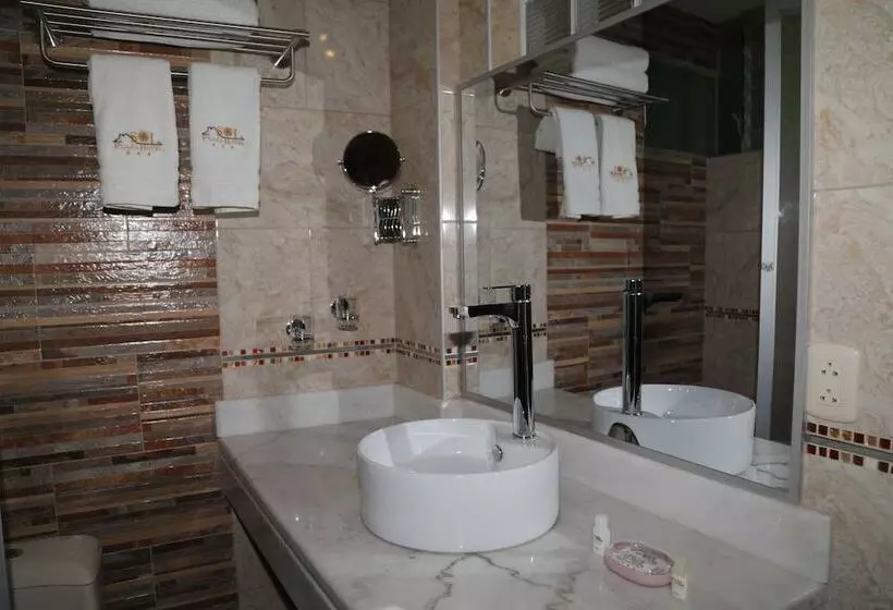 Fotos del hotel Sol Plaza:  4