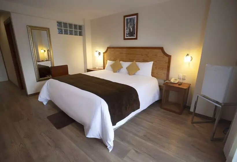 Fotos del hotel Sol Plaza:  13