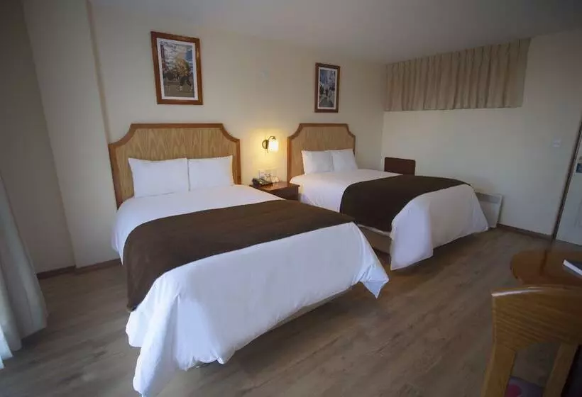 Fotos del hotel Sol Plaza:  7