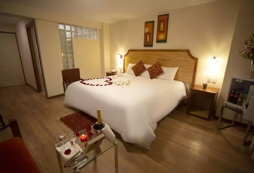 Fotos del hotel Sol Plaza:  15