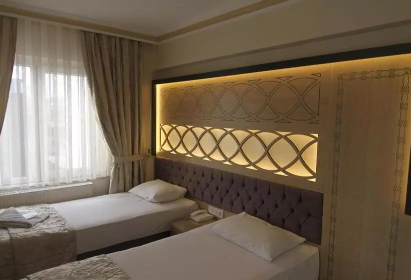 Fotos del hotel Grand Liza:  8